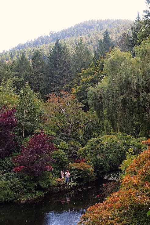 Japanese garden pond at Butchart Gardens in autumn.