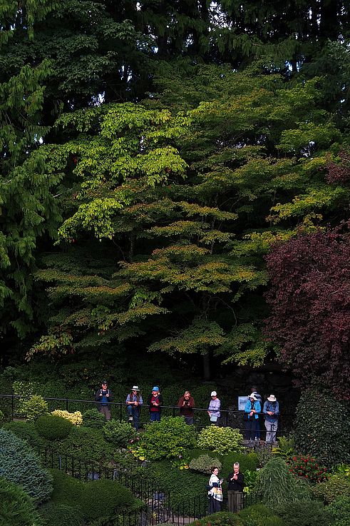 Visitors at the Sunken Garden viewpoint at Butchart Gardens.