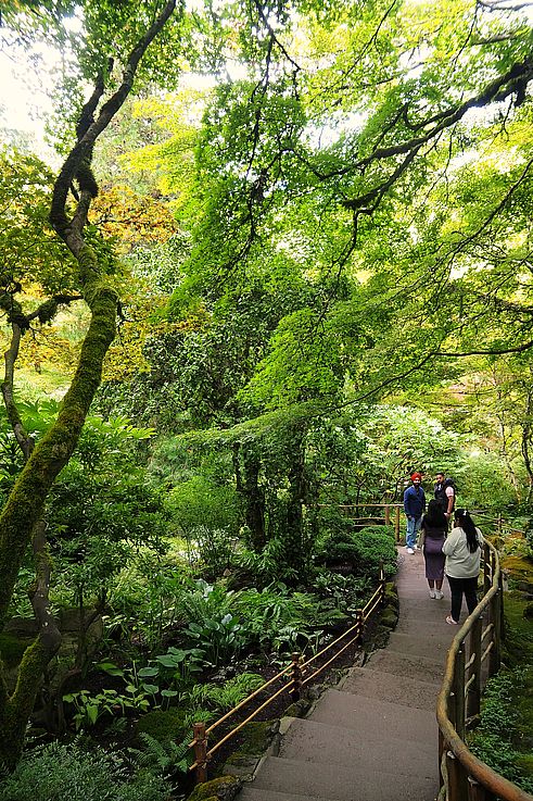 Path in the Japanese Garden at Butchart Gardens.