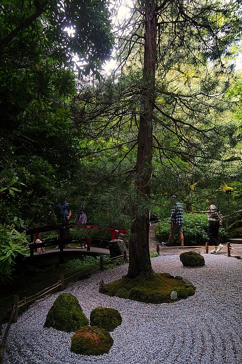 Pine, rocks, and moss in the Japanese Garden at Butchart Gardens.