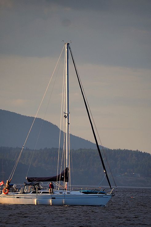 Sailboat Sanssouci off Willis Point, in front of the wooded hills.