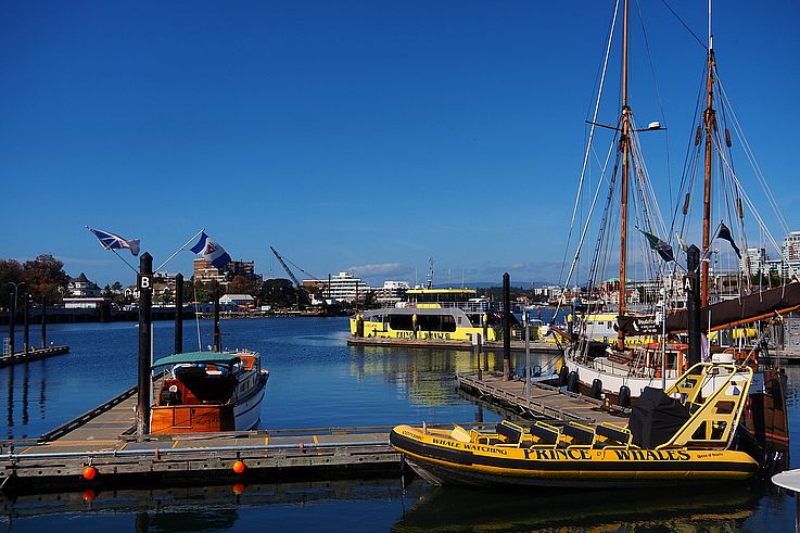 Prince of Whales tour boats in Victoria harbour.