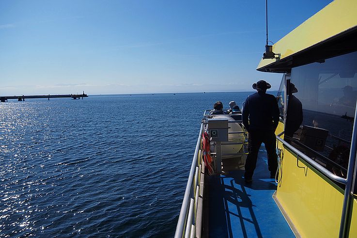 Boat excursion near the Victoria pier.
