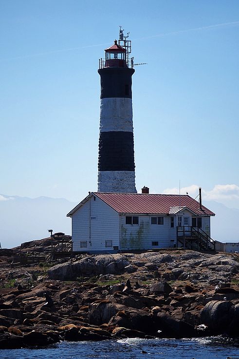 Race Rocks Lighthouse with a sea lion colony and a view of the Olympic Mountains in the background.