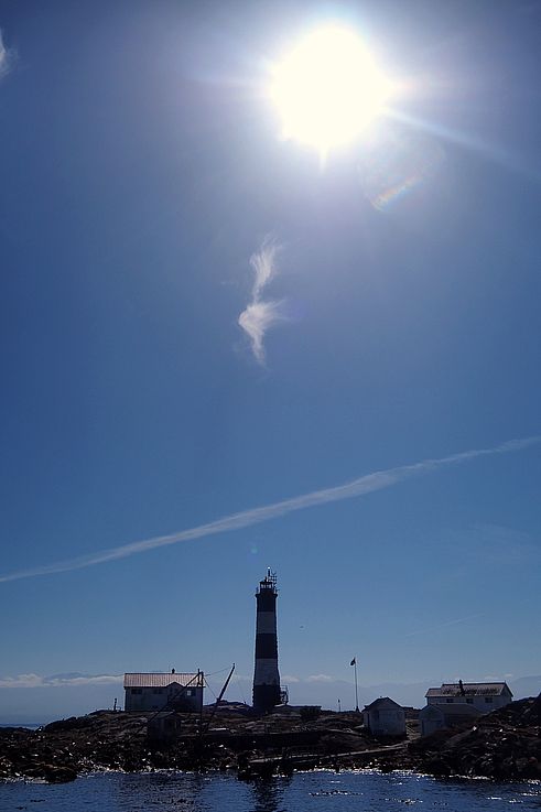 Lighthouse and sea lions on the Race Rocks archipelago.