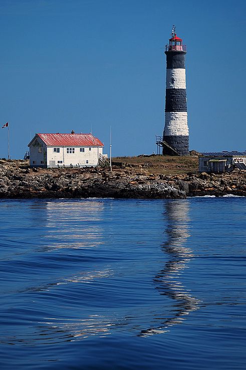 Lighthouse and keeper's house on the Race Rocks archipelago, sea lion colony.