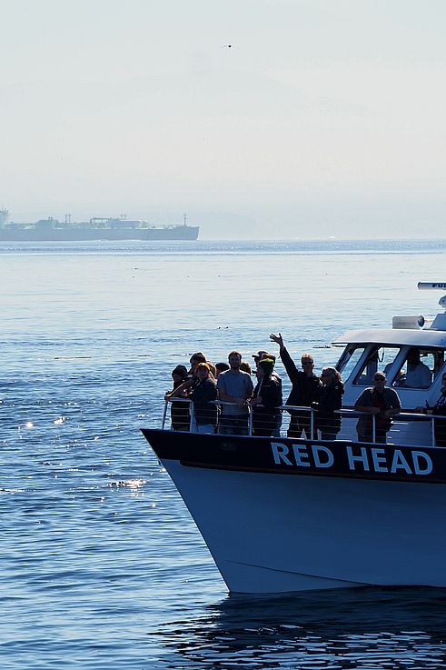 Tourists aboard the observation ship Red Head off Metchosin, with a cargo ship in the background.