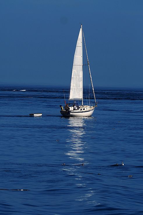 Sailboat on the calm waters of the Strait of Juan de Fuca.