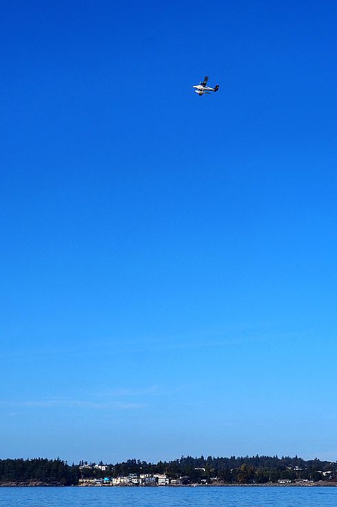 Seaplane in flight over the Strait of Juan de Fuca and the wooded coast.