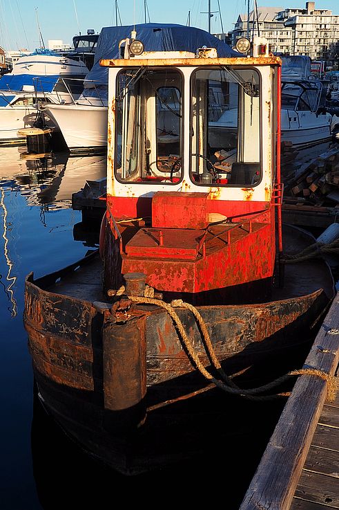 Rusty tugboat at Fisherman's Wharf in Victoria under golden light.