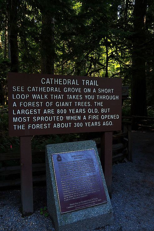 Panneau informatif sur le sentier Cathedral Trail dans le parc provincial MacMillan.