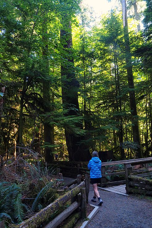 Promeneuse sur le sentier Big Tree Trail au sein du parc provincial Cathedral Grove, zone de conservation de douglas géants.