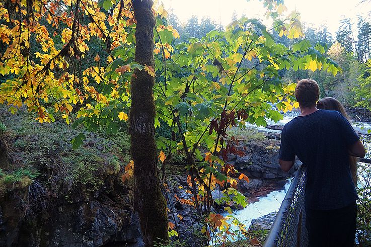 Couple observant de la rivière au parc provincial Stamp Falls entouré d'érables en automne.