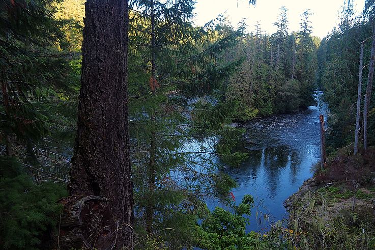 Rivière au sein du Stamp River Provincial Park.