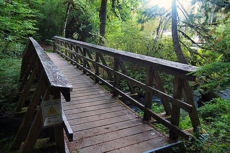 Passerelle en bois et panneau de signalisation sur la présence d'ours dans le parc provincial Stamp River Falls.