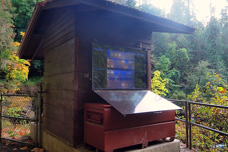 Kiosque de comptage de saumons aux Stamp Falls, en forêt lors de la saison automnale.