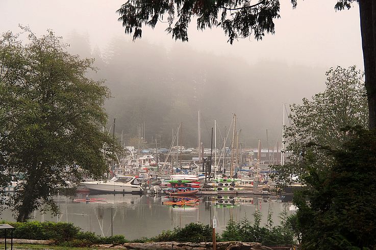 Botes y kayaks en el puerto de Ucluelet con clima brumoso.