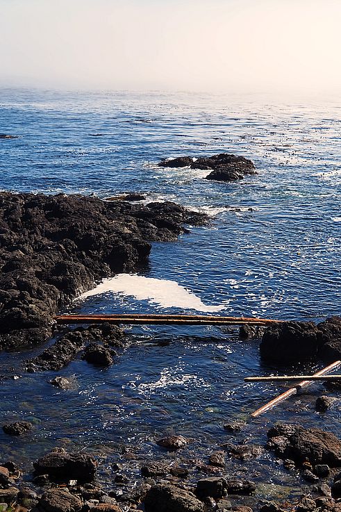 Costa rocosa y niebla oceánica en el Wild Pacific Trail en Ucluelet.