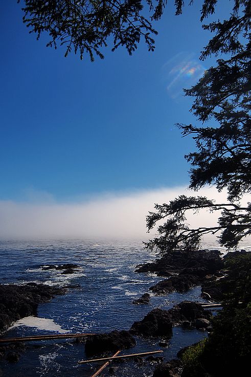 Costa rocosa y niebla en el Wild Pacific Trail en Ucluelet.