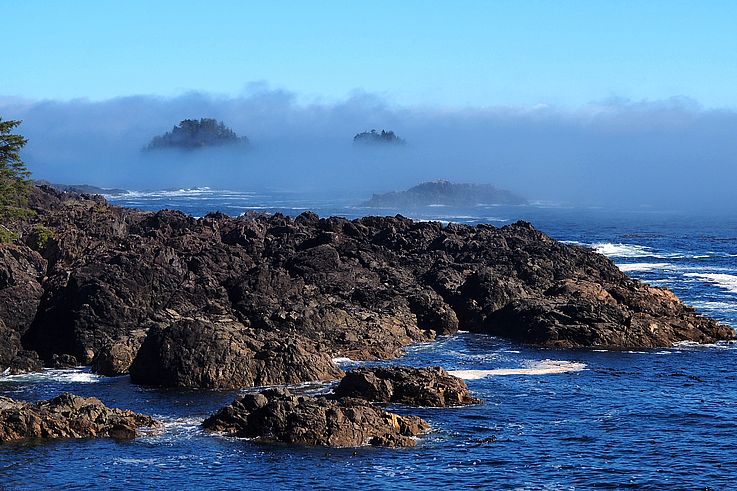 Costa rocosa bajo la niebla en el Wild Pacific Trail en Ucluelet.