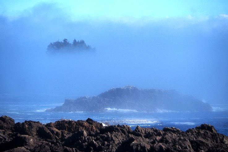 Islote boscoso en la niebla frente al Wild Pacific Trail, en Ucluelet.