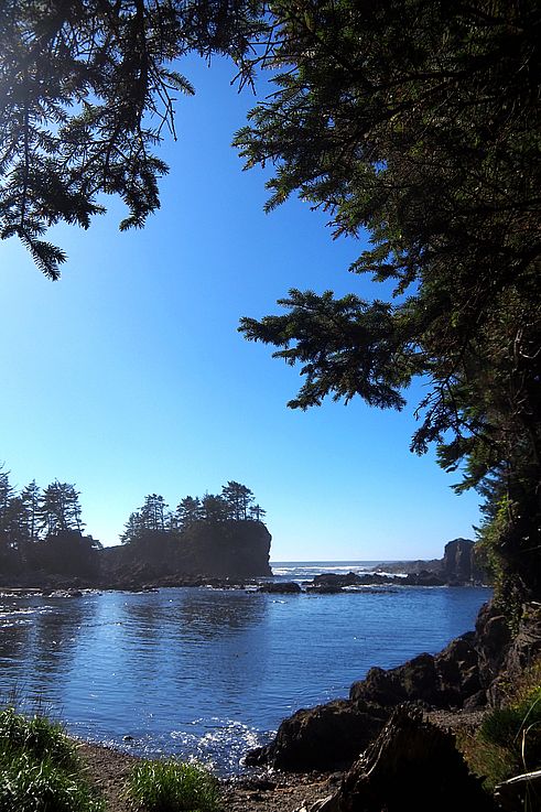 Costa rocosa y bosque costero en el Wild Pacific Trail en Ucluelet.