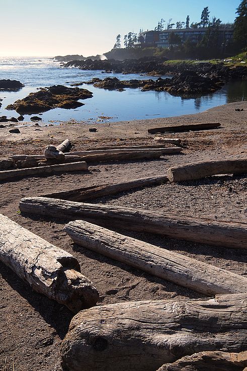 Playa de madera flotante a lo largo del Wild Pacific Trail en Ucluelet.