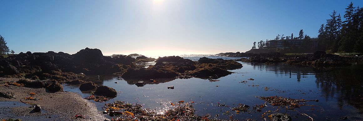Costa rocosa del Wild Pacific Trail en Ucluelet.