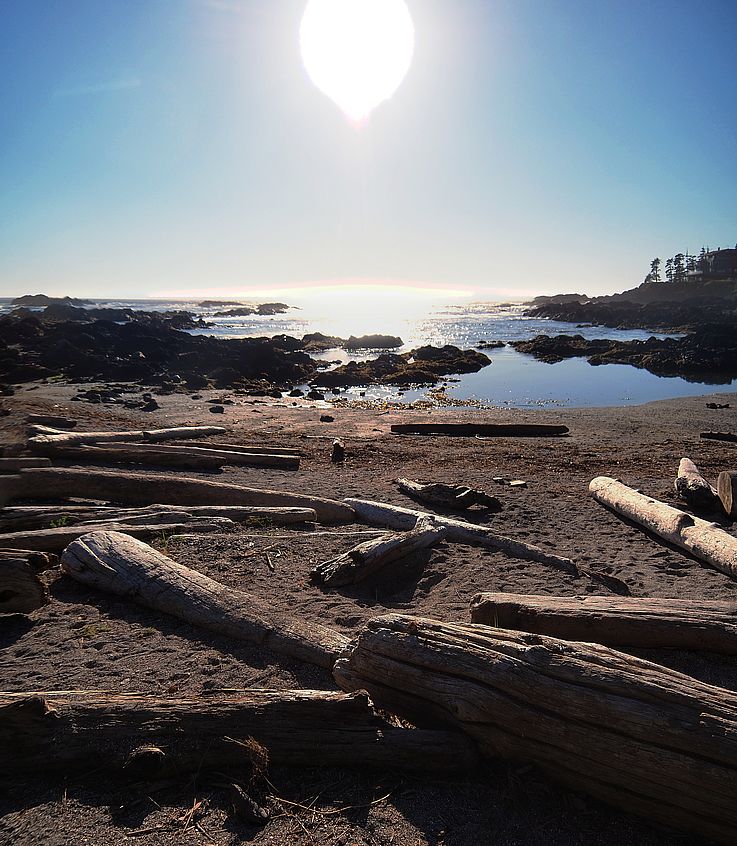 Madera flotante y rocas en el Wild Pacific Trail en Ucluelet.