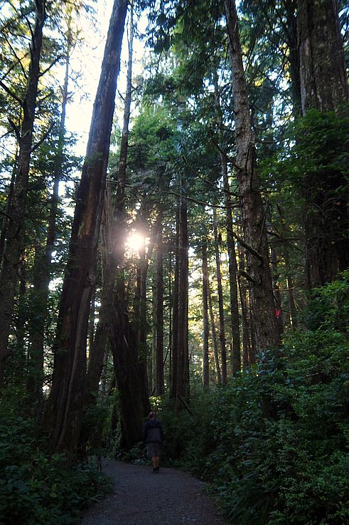 Senderista en el sendero Wild Pacific Trail en Ucluelet.