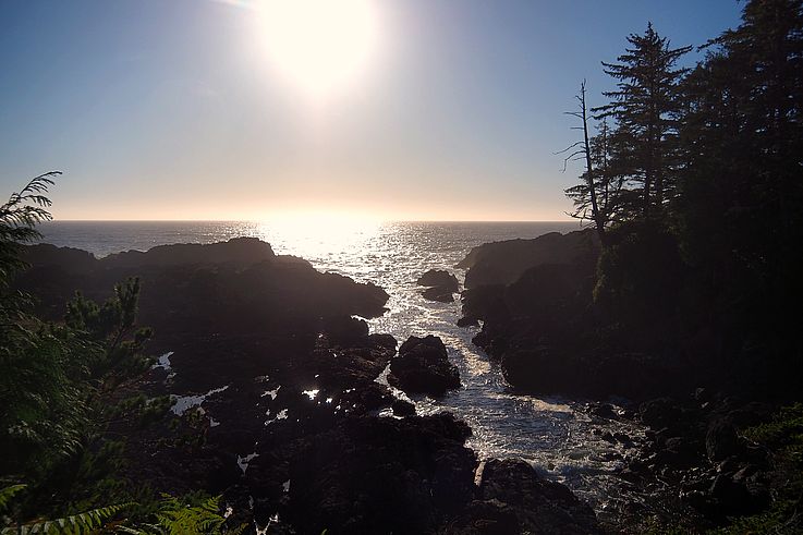 Atardecer en el sendero Wild Pacific Trail a la altura de los Artist Loops en Ucluelet.