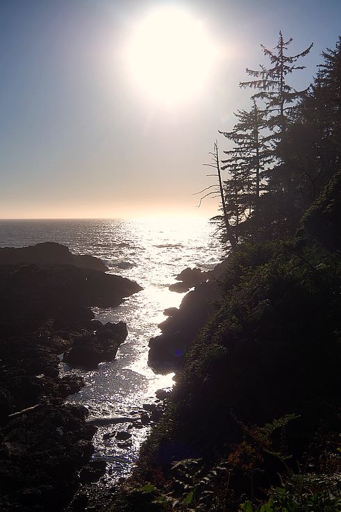 Reflejo del sol en el océano Pacífico desde el Wild Pacific Trail en Ucluelet.