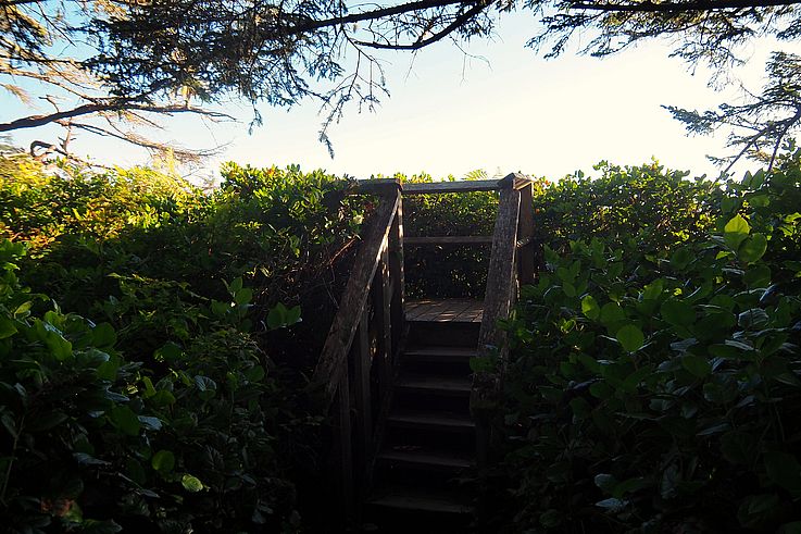 Escalera de madera en el sendero costero de los Artist Loops en Ucluelet.