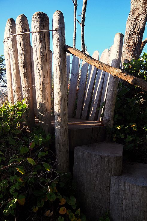 Banco de madera tallada en el sendero Artist Loops en Ucluelet.