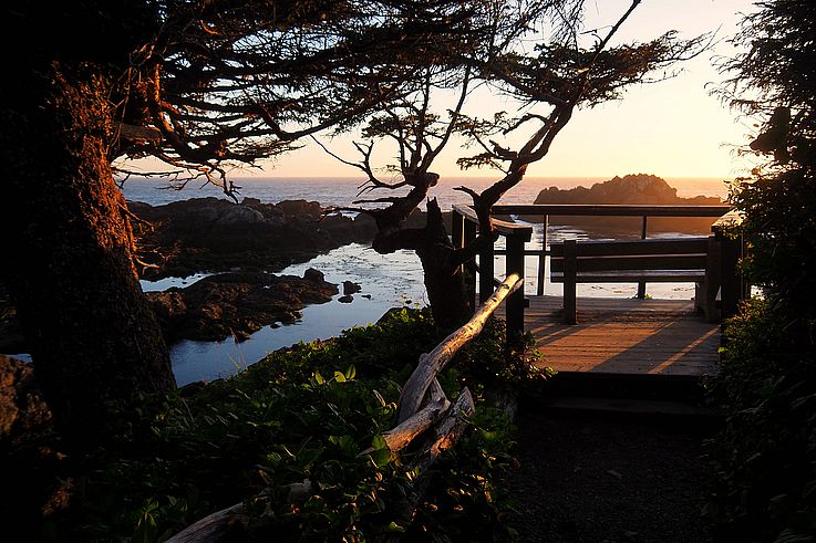 Banco en el sendero Wild Pacific Trail en Ucluelet al atardecer.
