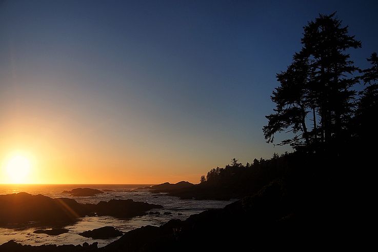 Atardecer sobre las rocas y los pinos del Wild Pacific Trail en Ucluelet.