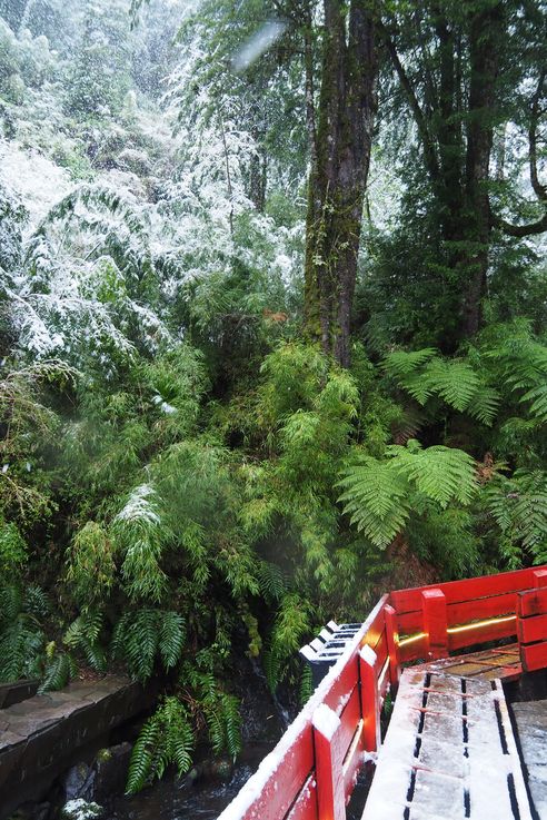 Termas Geométricas