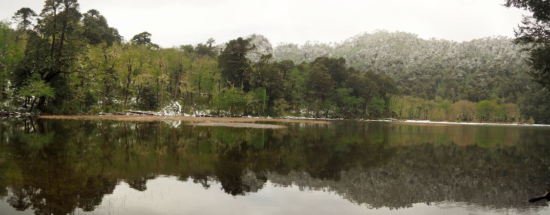 La caminata Santuario el Cañi