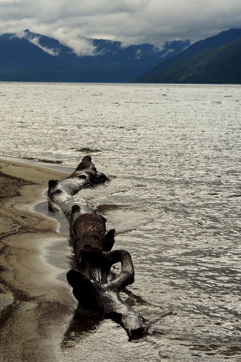 El lago Caburgua