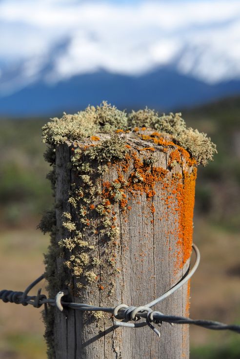 Torres del Paine, la ruta Y290
