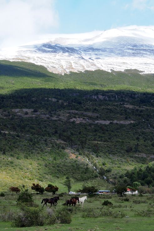 Estancia compleja en Torres del Paine