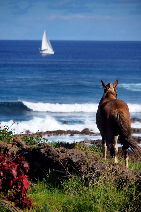 Ahu Tahai - Isla de Pascua