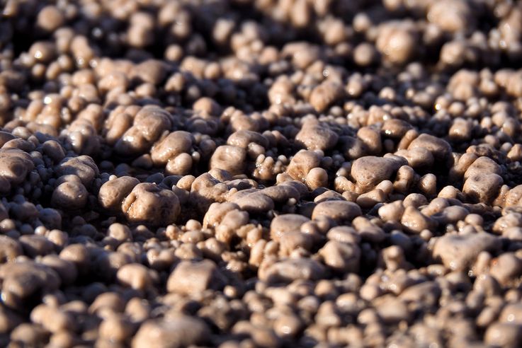 El Tatio - desierto de Atacama