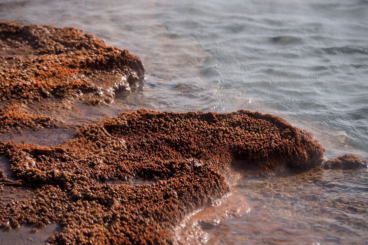 El Tatio - desierto de Atacama