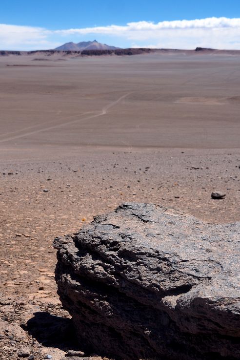 The Tara Salt Flat - Atacama Desert
