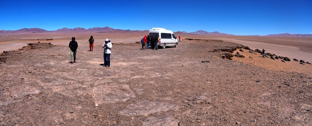 The Tara Salt Flat - Atacama Desert