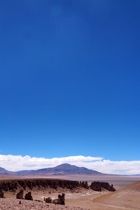 The Tara Salt Flat - Atacama Desert