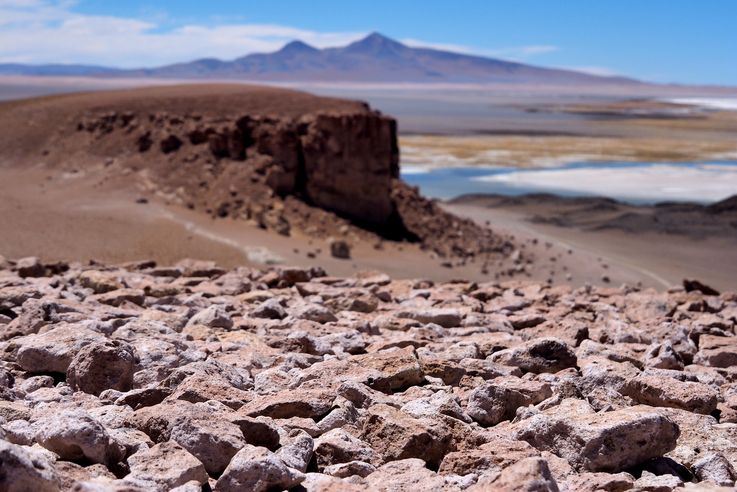 The Tara Salt Flat - Atacama Desert