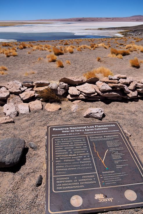The Tara Salt Flat - Atacama Desert