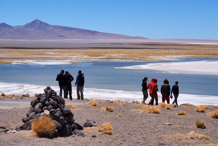 The Tara Salt Flat - Atacama Desert